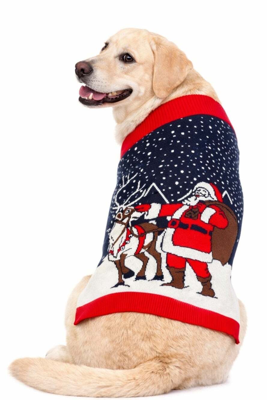 Reindeer & Santa Christmas Dog Sweater New NWT Large Xmas Holiday Cute